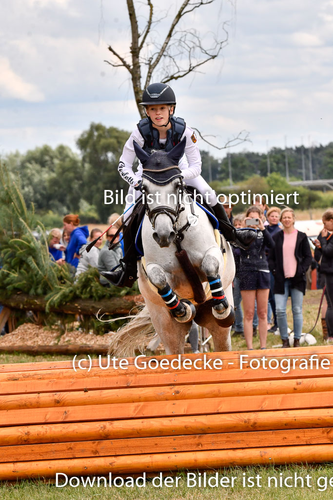 Goldene Schärpe Ponys in Hohenberg Krusemark 2024 | 13072024 Gelände_391