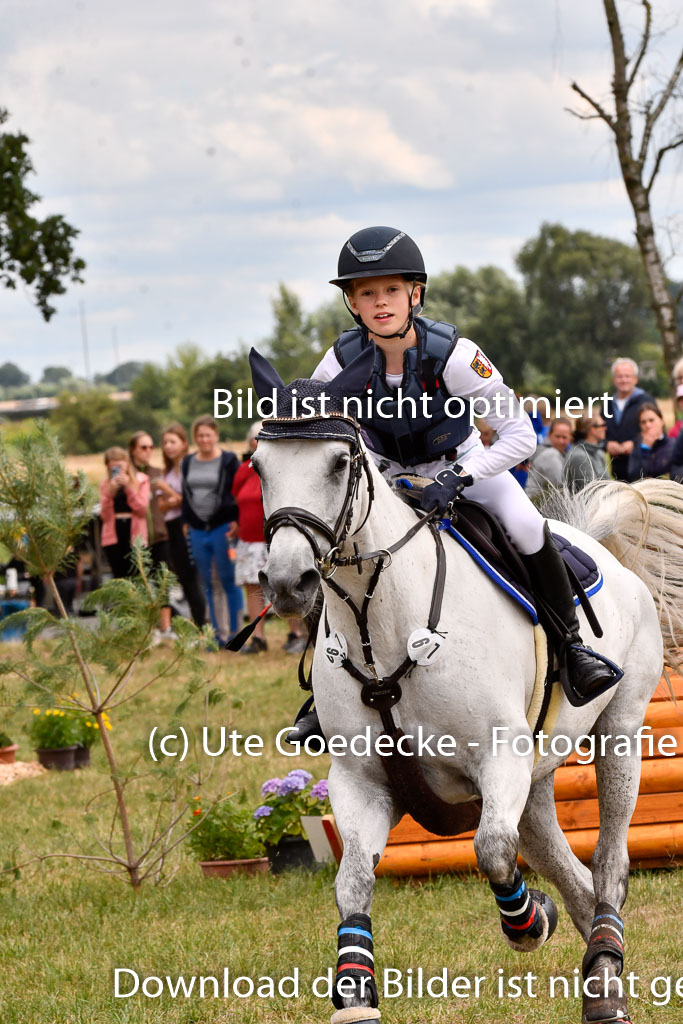 Goldene Schärpe Ponys in Hohenberg Krusemark 2024 | 13072024 Gelände_393