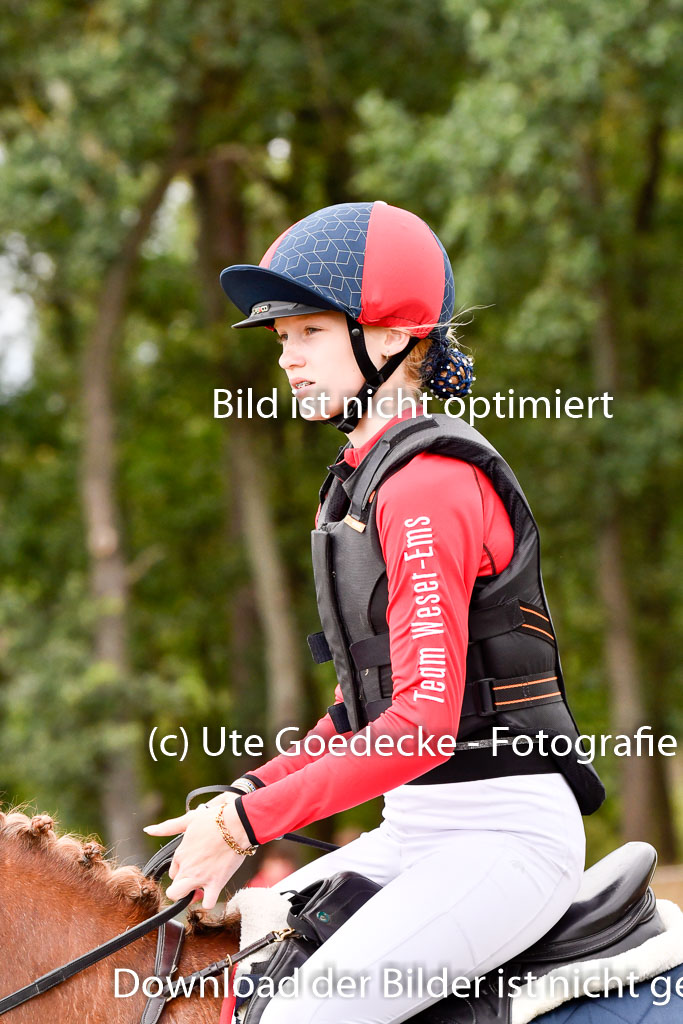 Goldene Schärpe Ponys in Hohenberg Krusemark 2024 | 13072024 Gelände_395