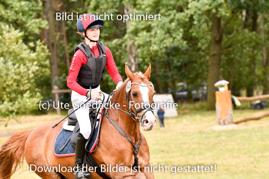 Goldene Schärpe Ponys in Hohenberg Krusemark 2024 | 13072024 Gelände_398