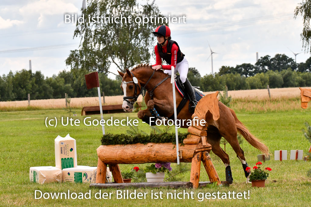 Goldene Schärpe Ponys in Hohenberg Krusemark 2024 | 13072024 Gelände_402