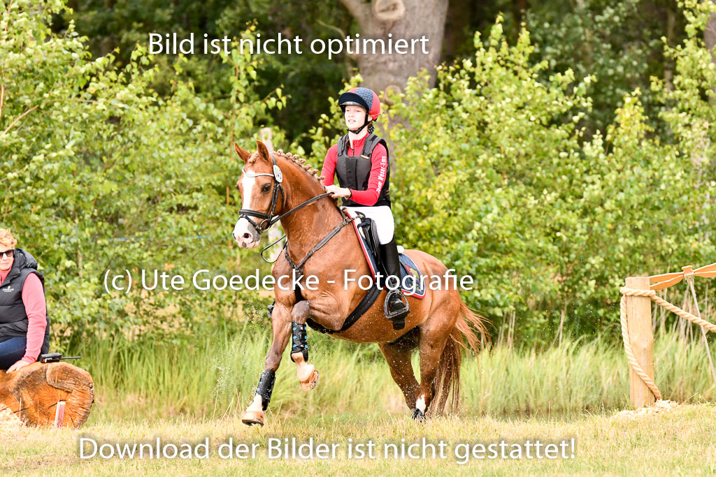 Goldene Schärpe Ponys in Hohenberg Krusemark 2024 | 13072024 Gelände_405