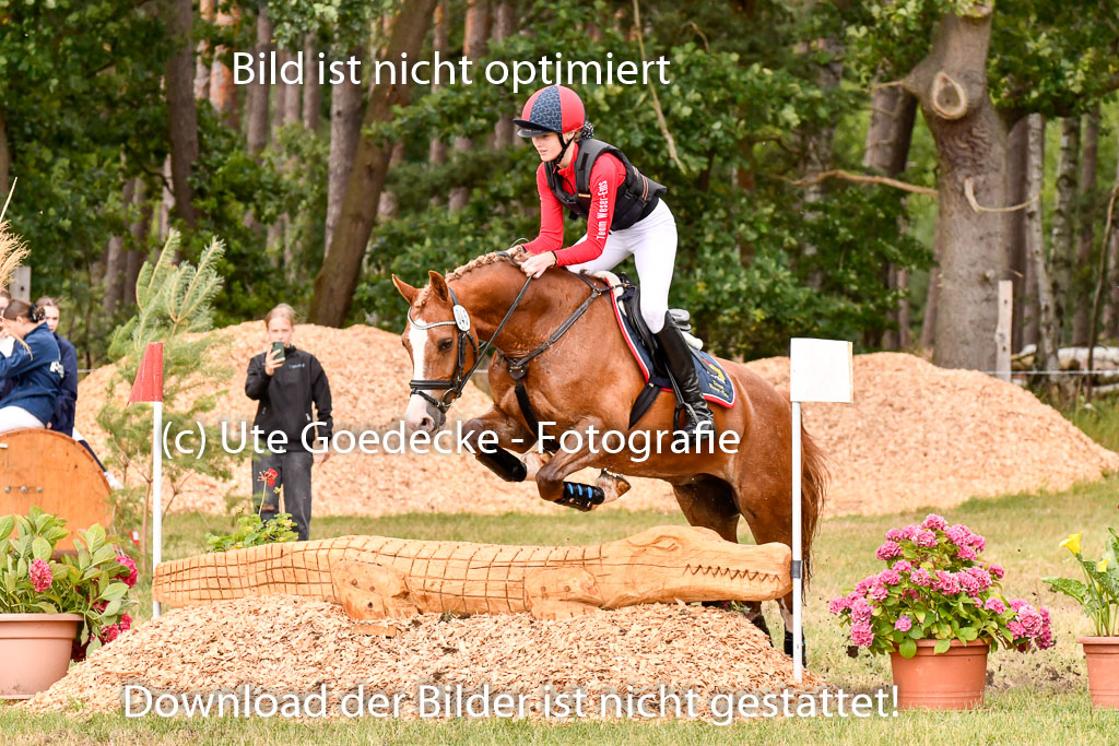 Goldene Schärpe Ponys in Hohenberg Krusemark 2024 | 13072024 Gelände_406