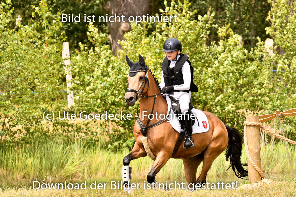 Goldene Schärpe Ponys in Hohenberg Krusemark 2024 | 13072024 Gelände_415