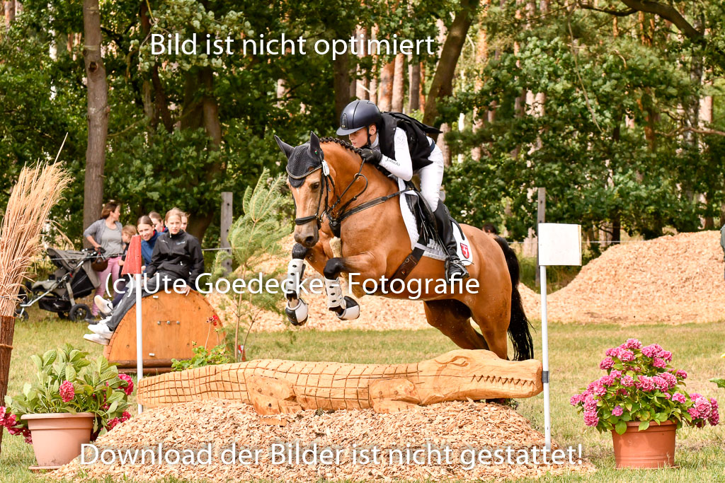 Goldene Schärpe Ponys in Hohenberg Krusemark 2024 | 13072024 Gelände_416