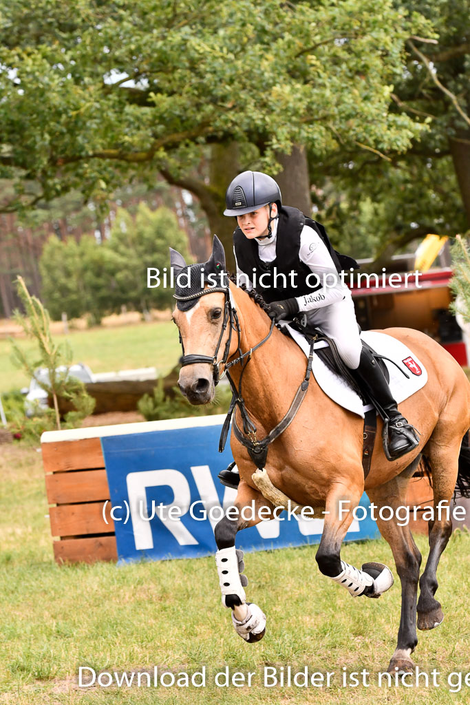 Goldene Schärpe Ponys in Hohenberg Krusemark 2024 | 13072024 Gelände_419