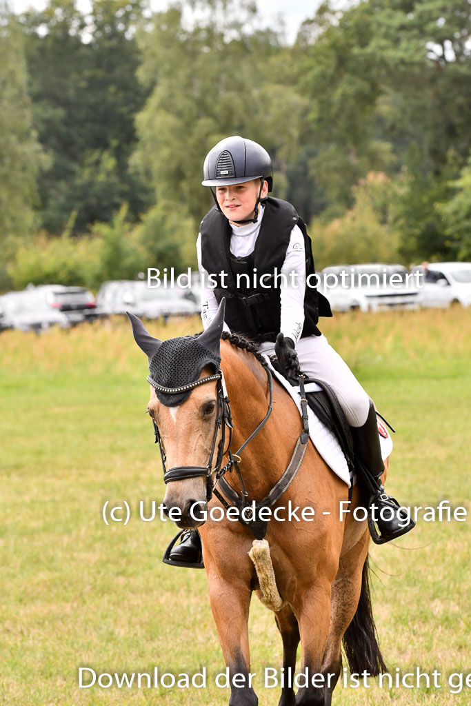 Goldene Schärpe Ponys in Hohenberg Krusemark 2024 | 13072024 Gelände_420