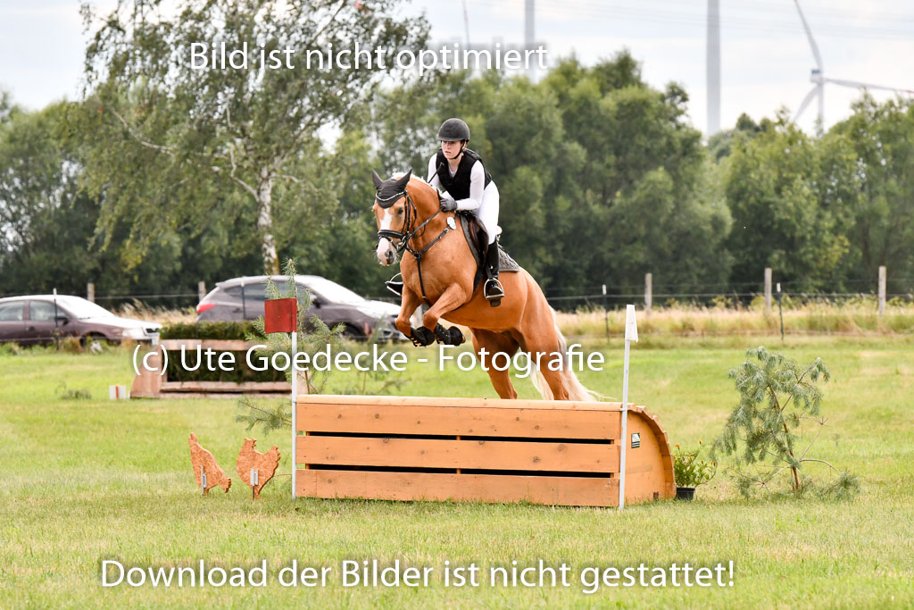 Goldene Schärpe Ponys in Hohenberg Krusemark 2024 | 13072024 Gelände_425