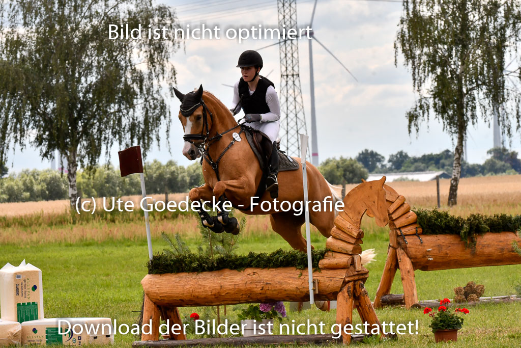 Goldene Schärpe Ponys in Hohenberg Krusemark 2024 | 13072024 Gelände_427