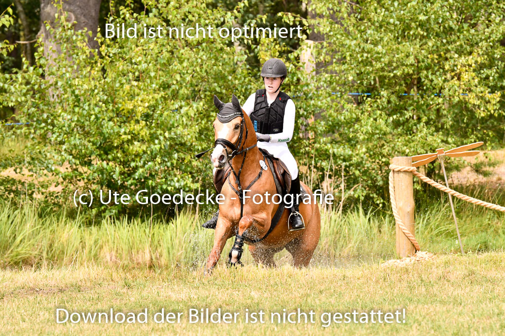 Goldene Schärpe Ponys in Hohenberg Krusemark 2024 | 13072024 Gelände_430