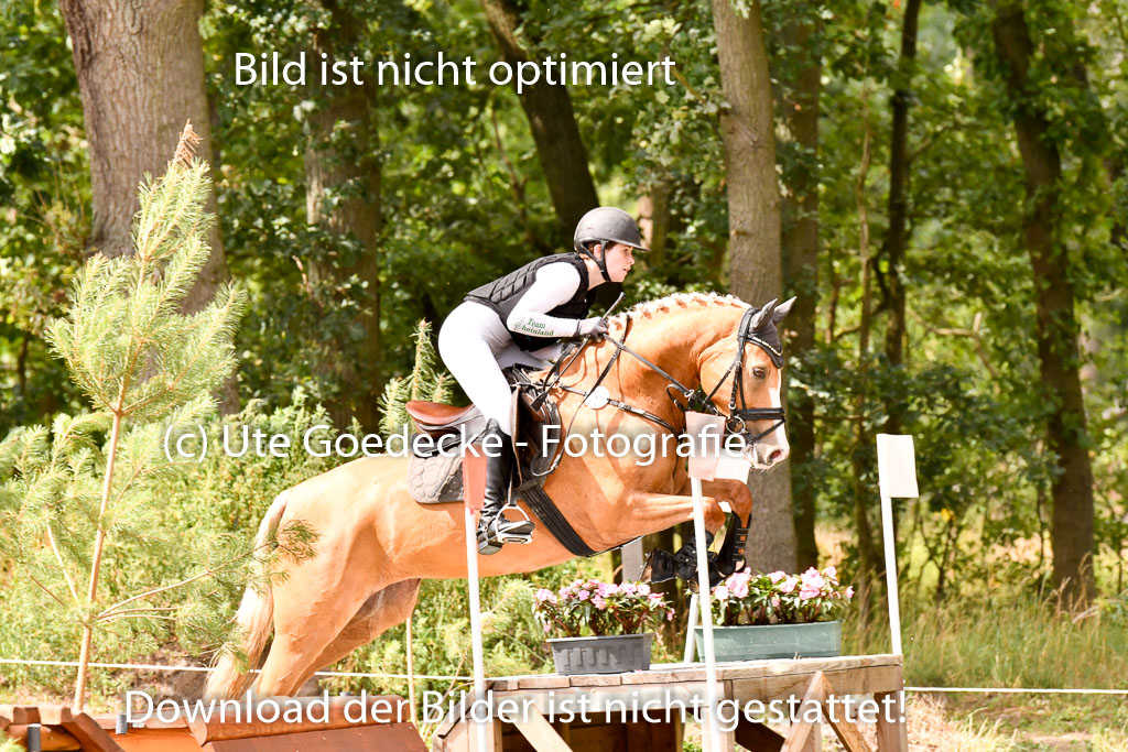 Goldene Schärpe Ponys in Hohenberg Krusemark 2024 | 13072024 Gelände_432