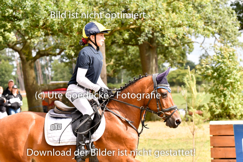 Goldene Schärpe Ponys in Hohenberg Krusemark 2024 | 13072024 Gelände_437