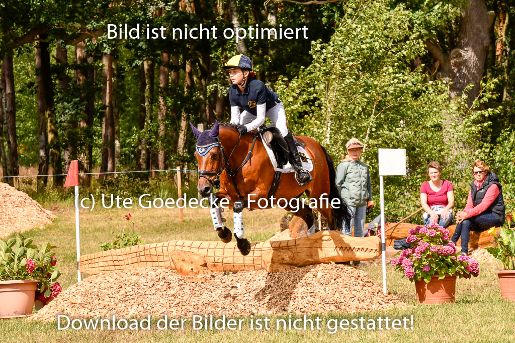 Goldene Schärpe Ponys in Hohenberg Krusemark 2024 | 13072024 Gelände_443