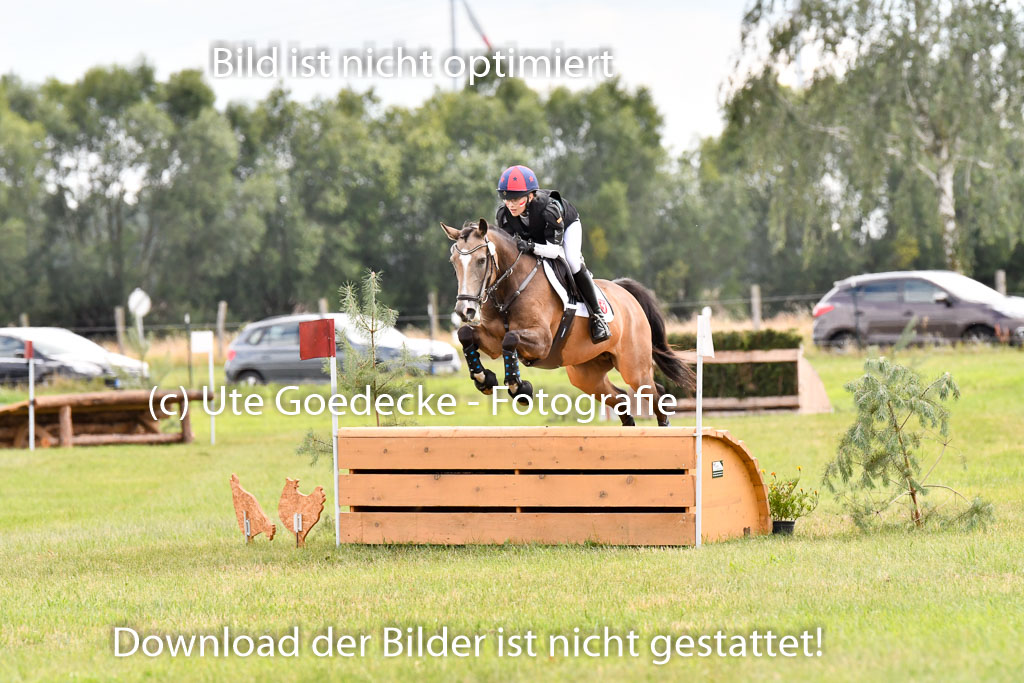 Goldene Schärpe Ponys in Hohenberg Krusemark 2024 | 13072024 Gelände_470