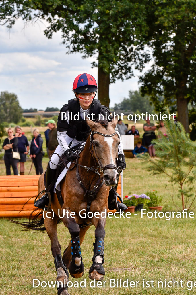 Goldene Schärpe Ponys in Hohenberg Krusemark 2024 | 13072024 Gelände_479