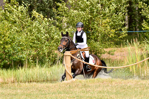 Goldene Schärpe Ponys in Hohenberg Krusemark 2024 | 13072024 Gelände_003 