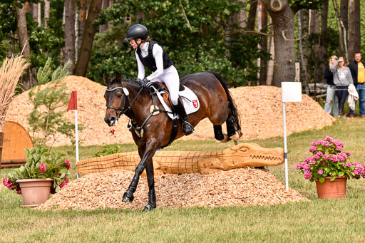 Goldene Schärpe Ponys in Hohenberg Krusemark 2024 | 13072024 Gelände_006 