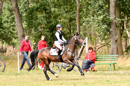 Goldene Schärpe Ponys in Hohenberg Krusemark 2024 | 13072024 Gelände_007 