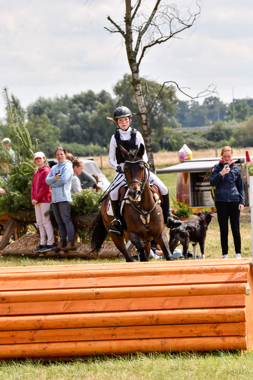 Goldene Schärpe Ponys in Hohenberg Krusemark 2024 | 13072024 Gelände_010 