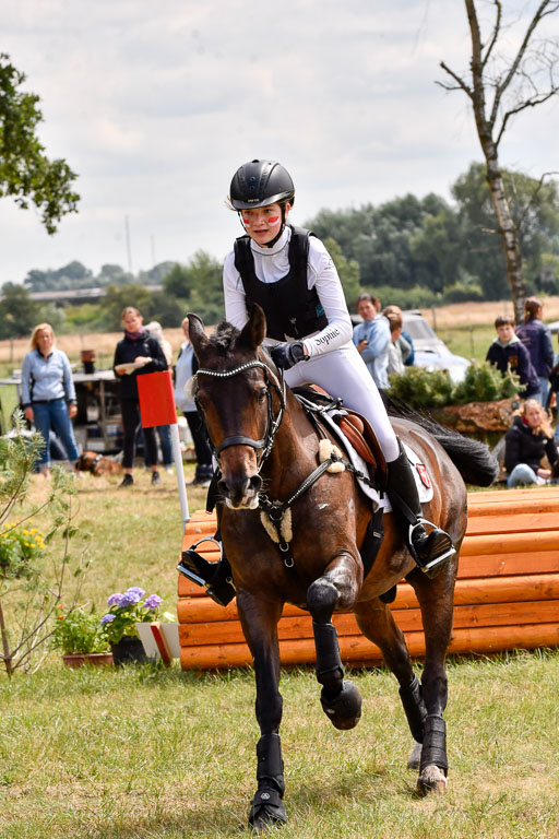 Goldene Schärpe Ponys in Hohenberg Krusemark 2024 | 13072024 Gelände_012 