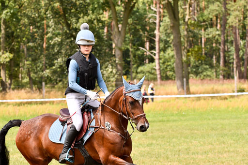 Goldene Schärpe Ponys in Hohenberg Krusemark 2024 | 13072024 Gelände_013 