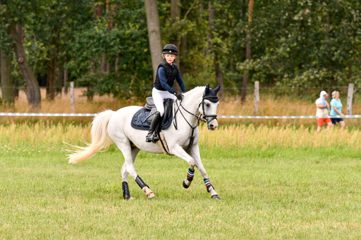 Goldene Schärpe Ponys in Hohenberg Krusemark 2024 | 13072024 Gelände_103 