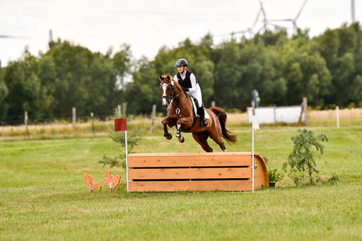 Goldene Schärpe Ponys in Hohenberg Krusemark 2024 | 13072024 Gelände_300 