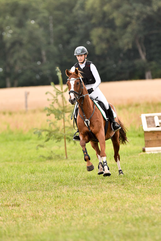 Goldene Schärpe Ponys in Hohenberg Krusemark 2024 | 13072024 Gelände_301 