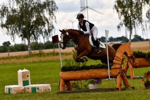 Goldene Schärpe Ponys in Hohenberg Krusemark 2024 | 13072024 Gelände_302 