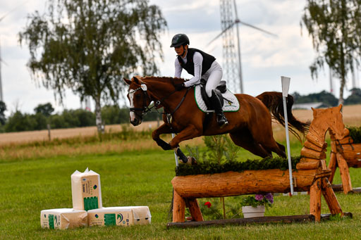 Goldene Schärpe Ponys in Hohenberg Krusemark 2024 | 13072024 Gelände_303 