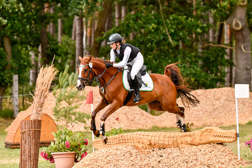 Goldene Schärpe Ponys in Hohenberg Krusemark 2024 | 13072024 Gelände_304 
