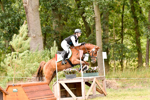 Goldene Schärpe Ponys in Hohenberg Krusemark 2024 | 13072024 Gelände_305 
