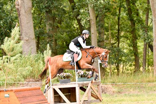 Goldene Schärpe Ponys in Hohenberg Krusemark 2024 | 13072024 Gelände_306 