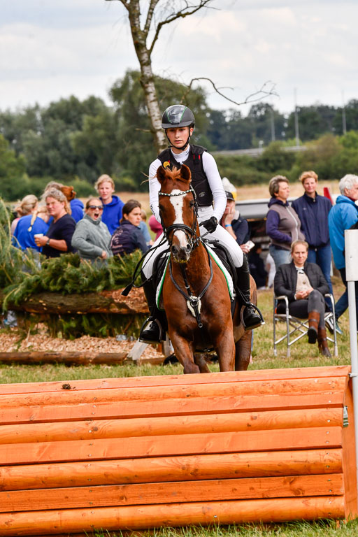 Goldene Schärpe Ponys in Hohenberg Krusemark 2024 | 13072024 Gelände_307 
