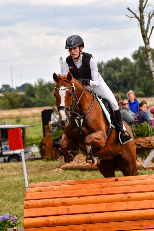 Goldene Schärpe Ponys in Hohenberg Krusemark 2024 | 13072024 Gelände_308 