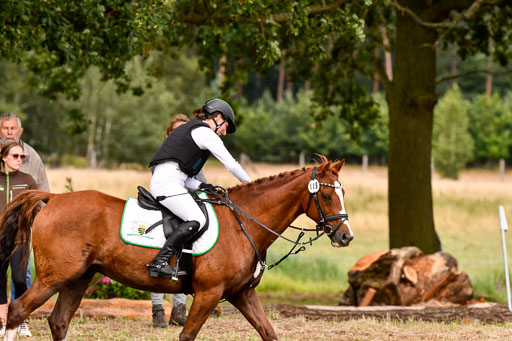 Goldene Schärpe Ponys in Hohenberg Krusemark 2024 | 13072024 Gelände_313 