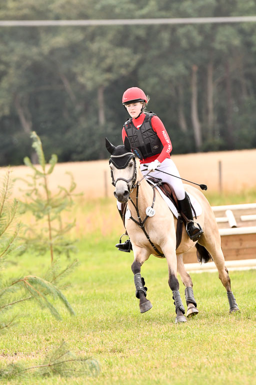 Goldene Schärpe Ponys in Hohenberg Krusemark 2024 | 13072024 Gelände_314 