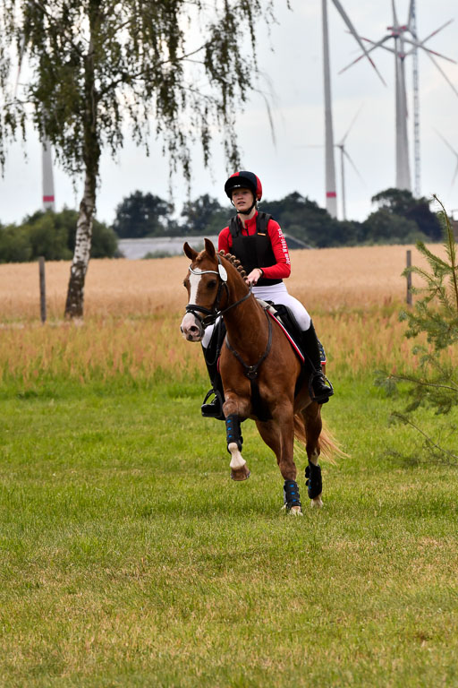 Goldene Schärpe Ponys in Hohenberg Krusemark 2024 | 13072024 Gelände_401 