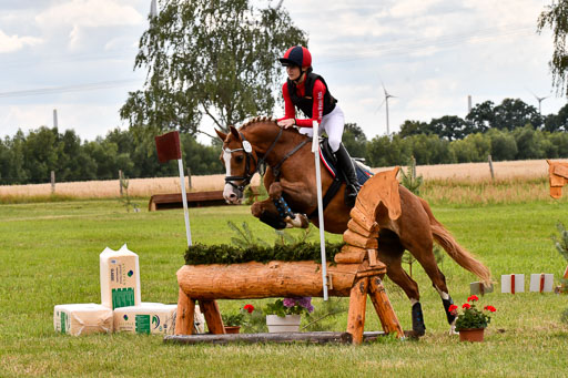 Goldene Schärpe Ponys in Hohenberg Krusemark 2024 | 13072024 Gelände_402 