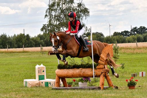 Goldene Schärpe Ponys in Hohenberg Krusemark 2024 | 13072024 Gelände_403 