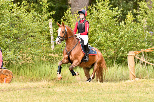 Goldene Schärpe Ponys in Hohenberg Krusemark 2024 | 13072024 Gelände_404 