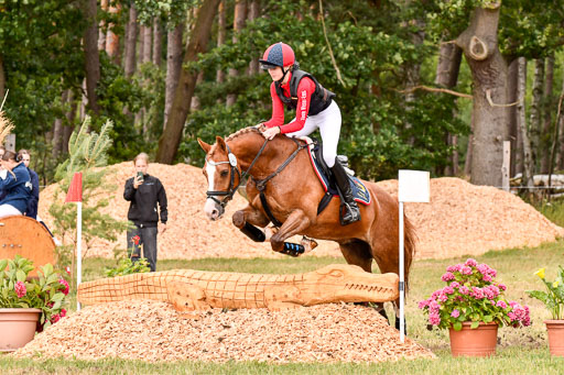Goldene Schärpe Ponys in Hohenberg Krusemark 2024 | 13072024 Gelände_406 