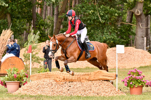 Goldene Schärpe Ponys in Hohenberg Krusemark 2024 | 13072024 Gelände_407 