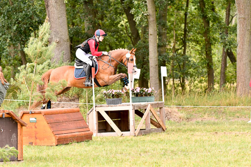 Goldene Schärpe Ponys in Hohenberg Krusemark 2024 | 13072024 Gelände_408 