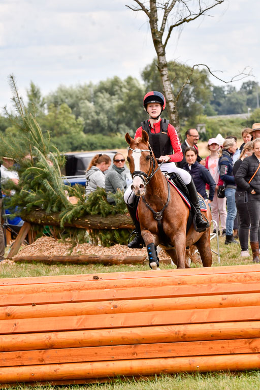Goldene Schärpe Ponys in Hohenberg Krusemark 2024 | 13072024 Gelände_409 