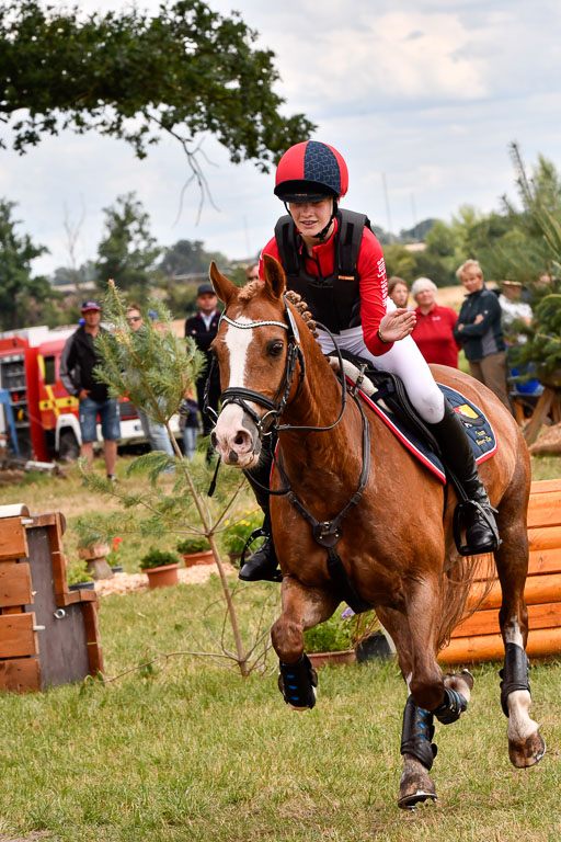 Goldene Schärpe Ponys in Hohenberg Krusemark 2024 | 13072024 Gelände_411 
