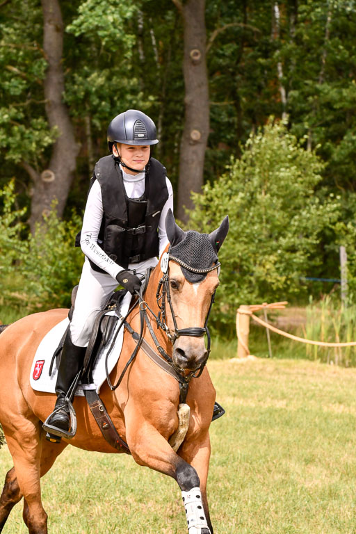 Goldene Schärpe Ponys in Hohenberg Krusemark 2024 | 13072024 Gelände_412 