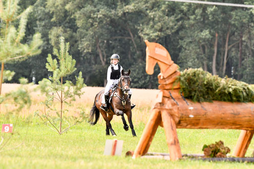 Goldene Schärpe Ponys in Hohenberg Krusemark 2024 | 13072024 Gelände 