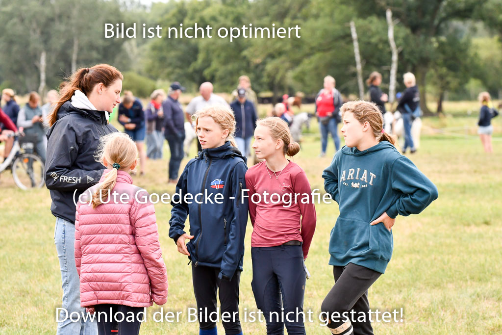 Goldene Schärpe Ponys in Hohenberg Krusemark 2024 | Impressionen GS Pony_001