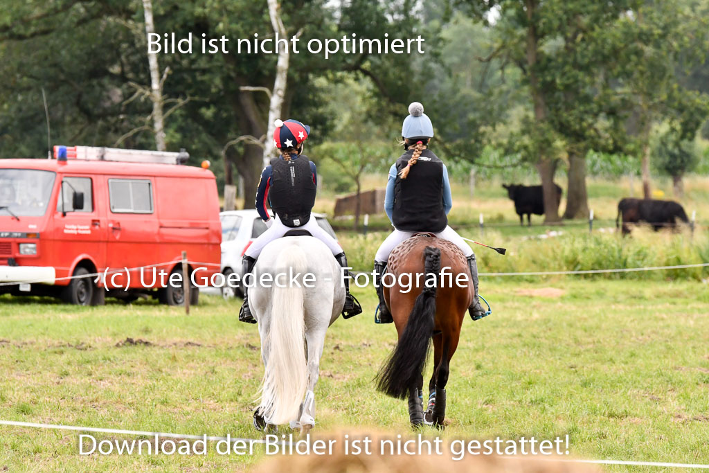 Goldene Schärpe Ponys in Hohenberg Krusemark 2024 | Impressionen GS Pony_007